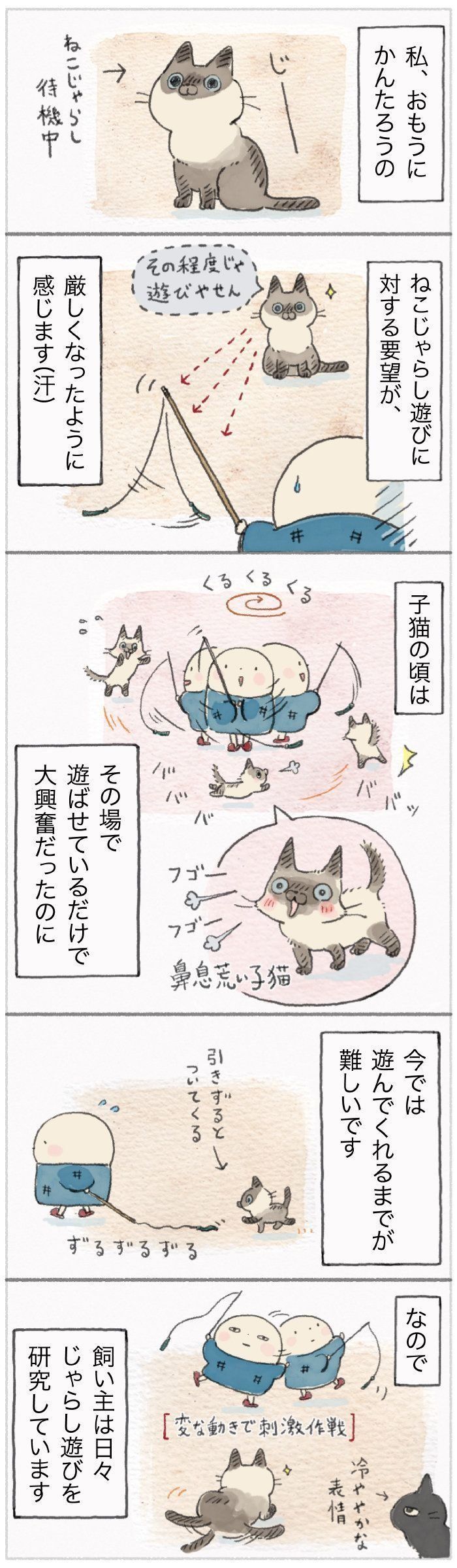 「ねこ連れ草」66話め