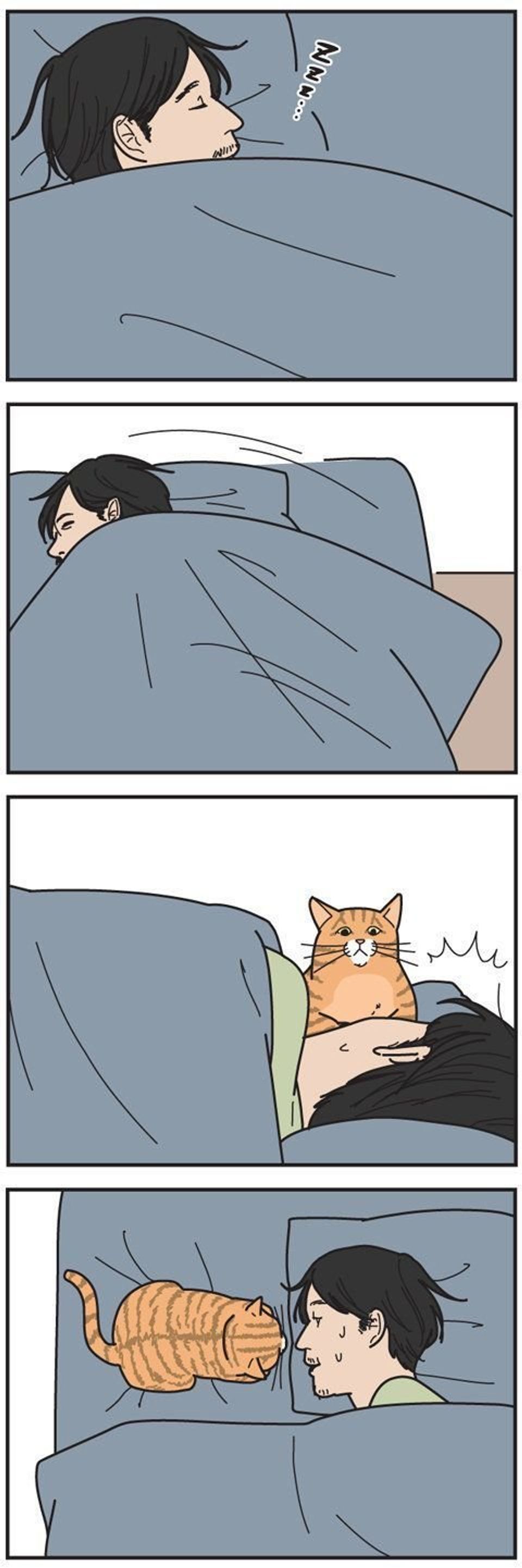 実は至近距離で観察されている 男の猫道 ねこのきもちweb Magazine限定話 Vol 27 ねこのきもちweb Magazine 実は至近距離で観察されている 男の猫道 ねこのきもちweb Magazine限定話 Vol 27 ねこのきもちweb Magazine