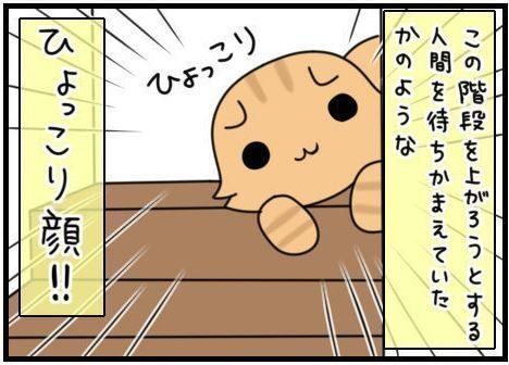 「もふもふスコたん」サムネイル
