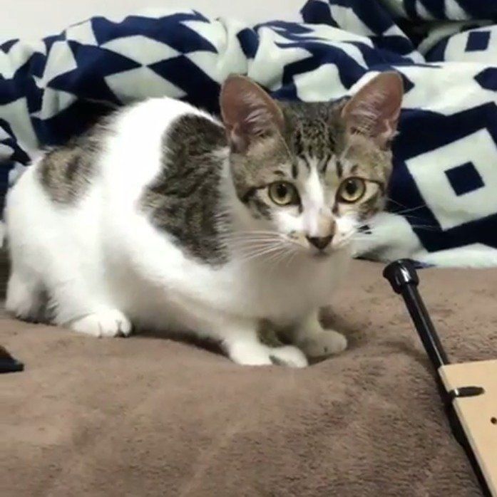 製作途中の様子