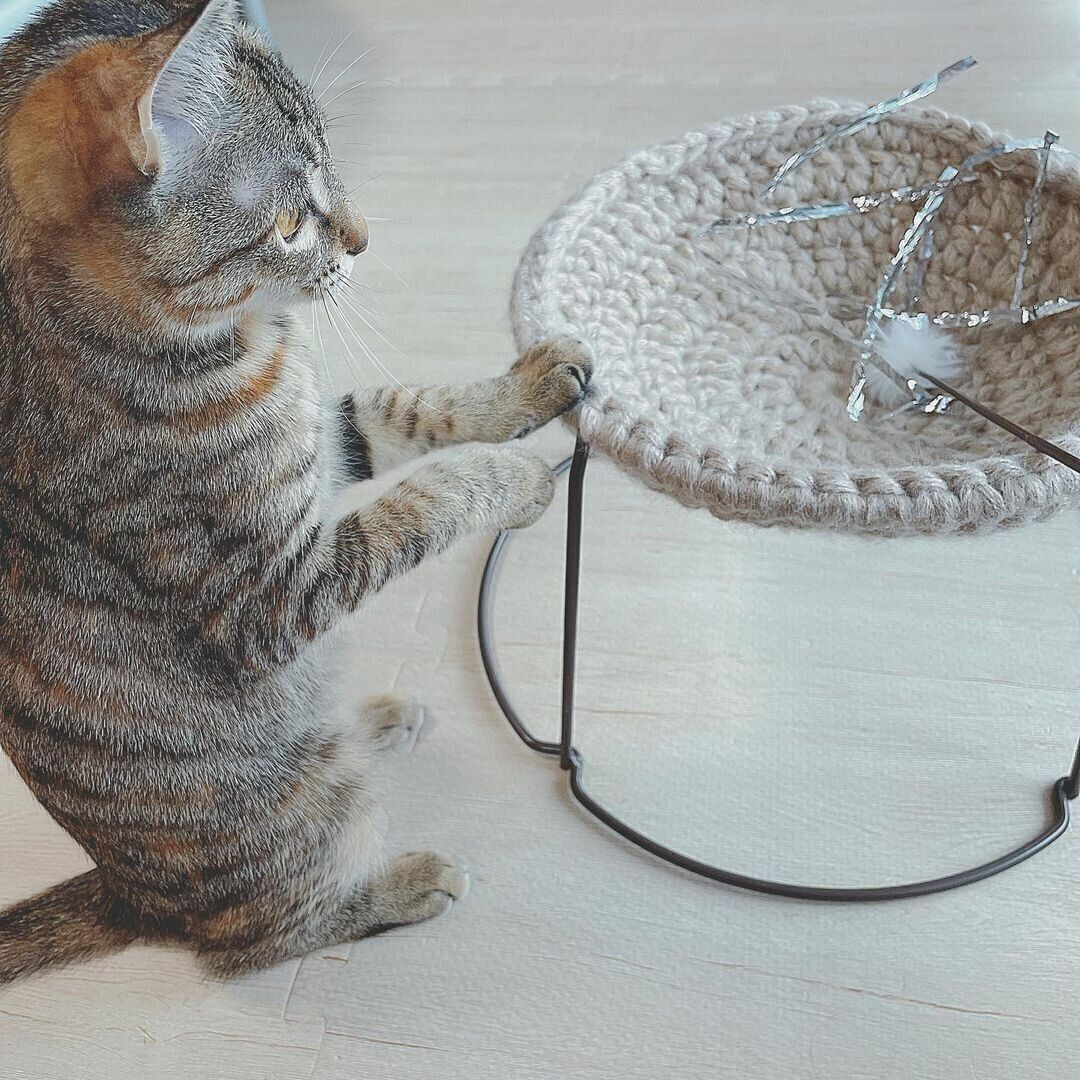 フラワースタンドと毛糸のベッド