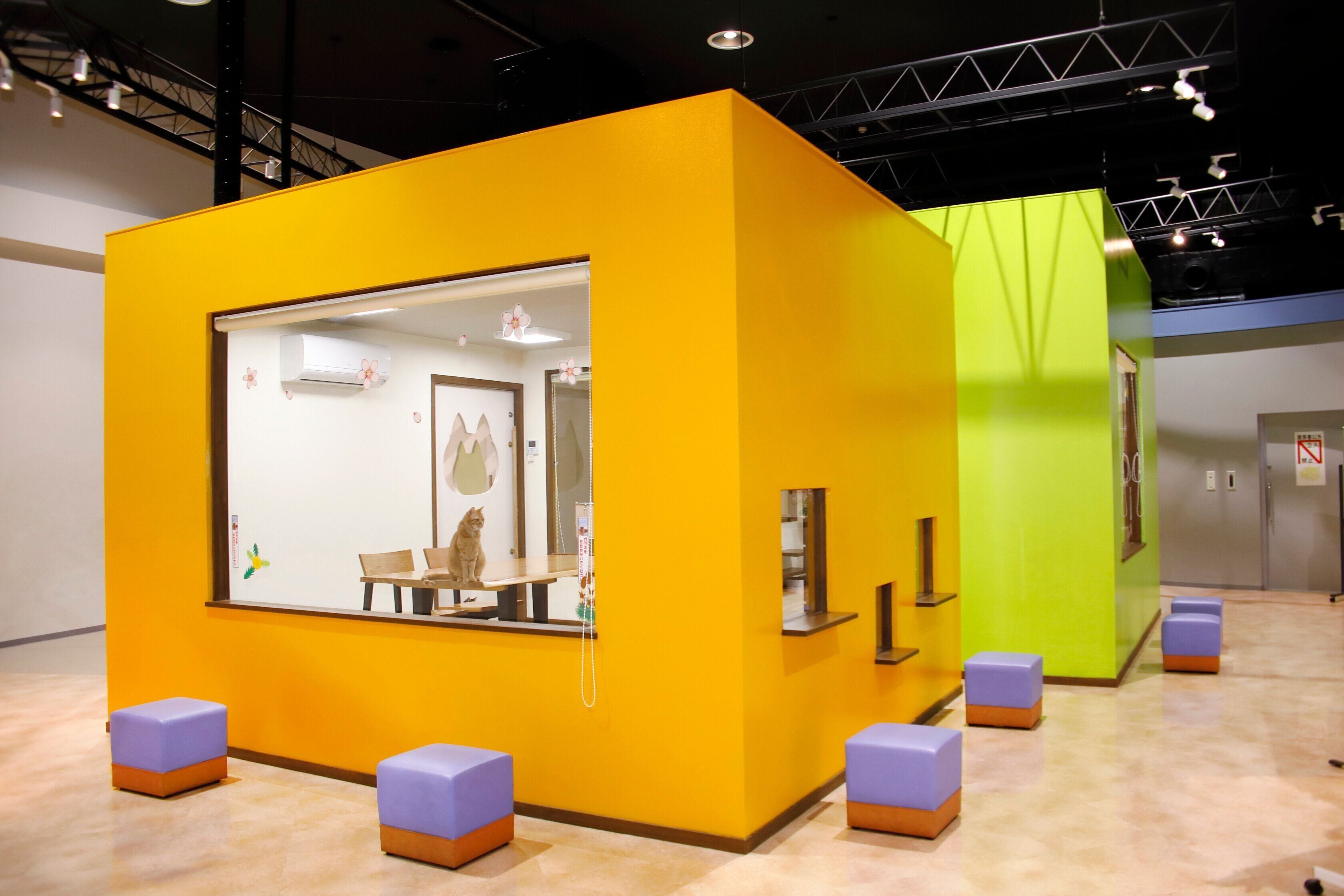 撮影／後藤さくら