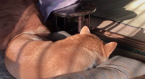 おやすみタイム