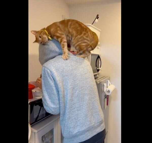 飼い主さんにスリスリするれおくん
