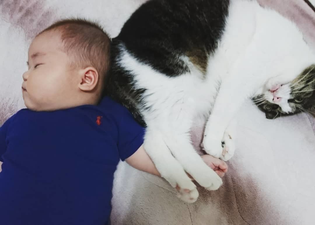 赤ちゃんと猫