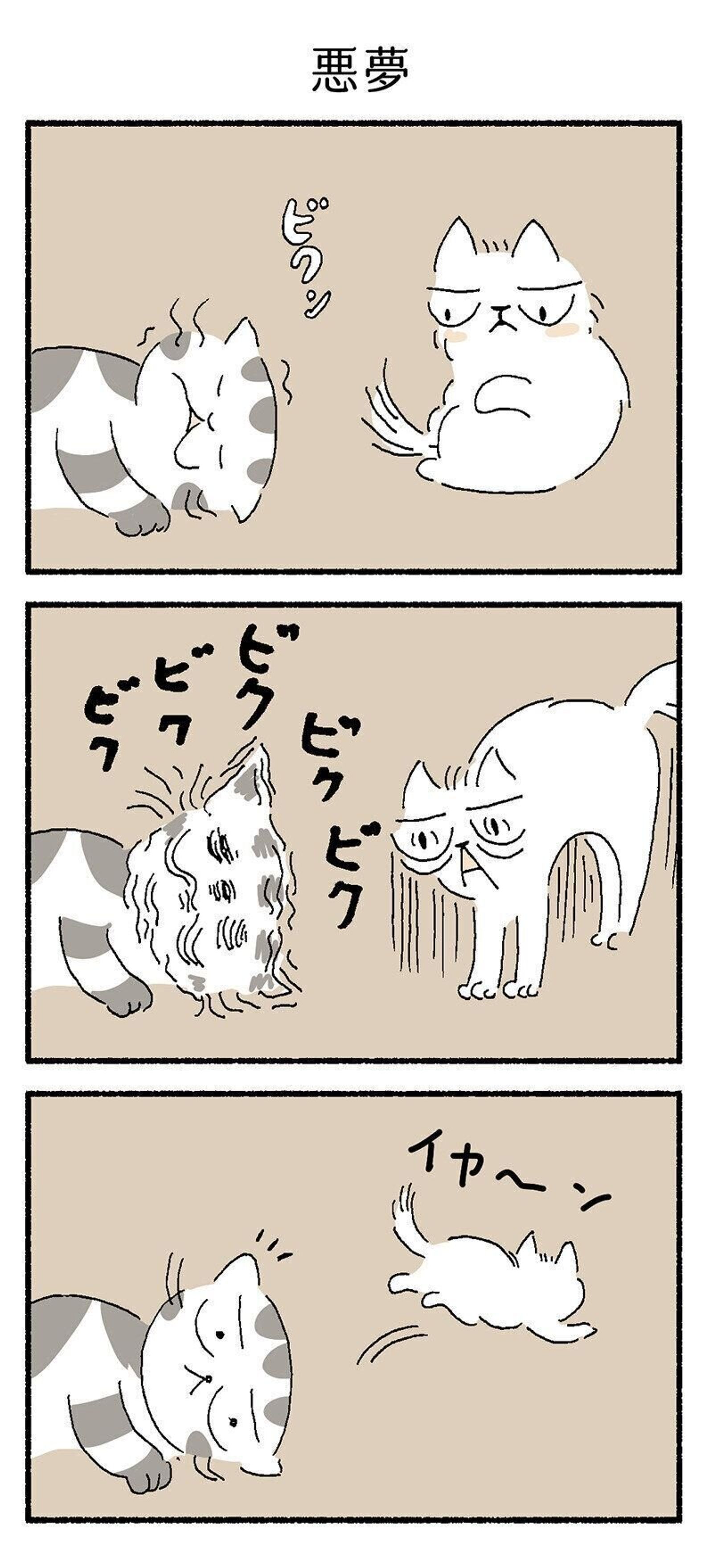 みてるのは悪夢 熟睡中に猫の顔がピクピク動くお話 連載 渋ネコししまるさん 171 ねこのきもちweb Magazine みてるのは悪夢 熟睡中に猫の顔がピクピク動くお話 連載 渋ネコししまるさん 171 ねこのきもちweb Magazine