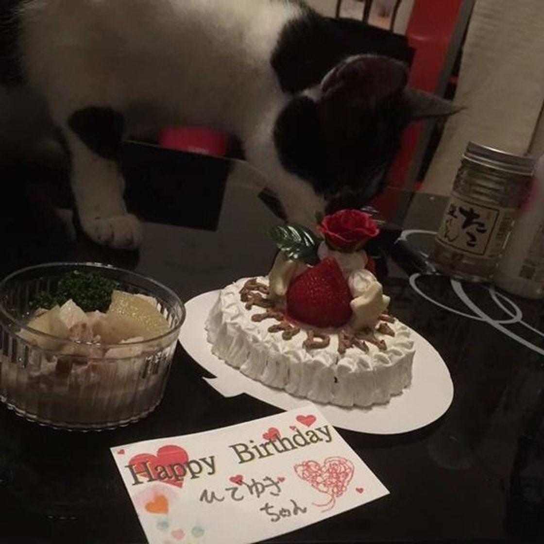 猫用ケーキってどんなもの 与え方の注意点や実際の反応をご紹介 ねこのきもちweb Magazine 猫用ケーキってどんなもの 与え方の注意点や実際の反応をご紹介 ねこのきもちweb Magazine