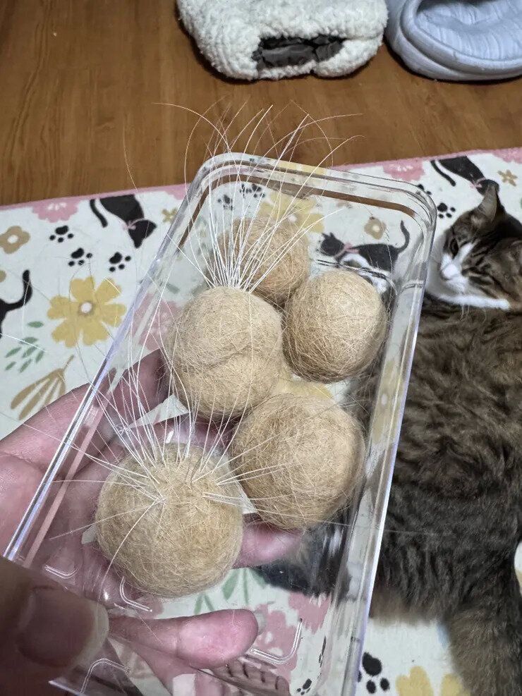 猫毛玉にヒゲを刺している