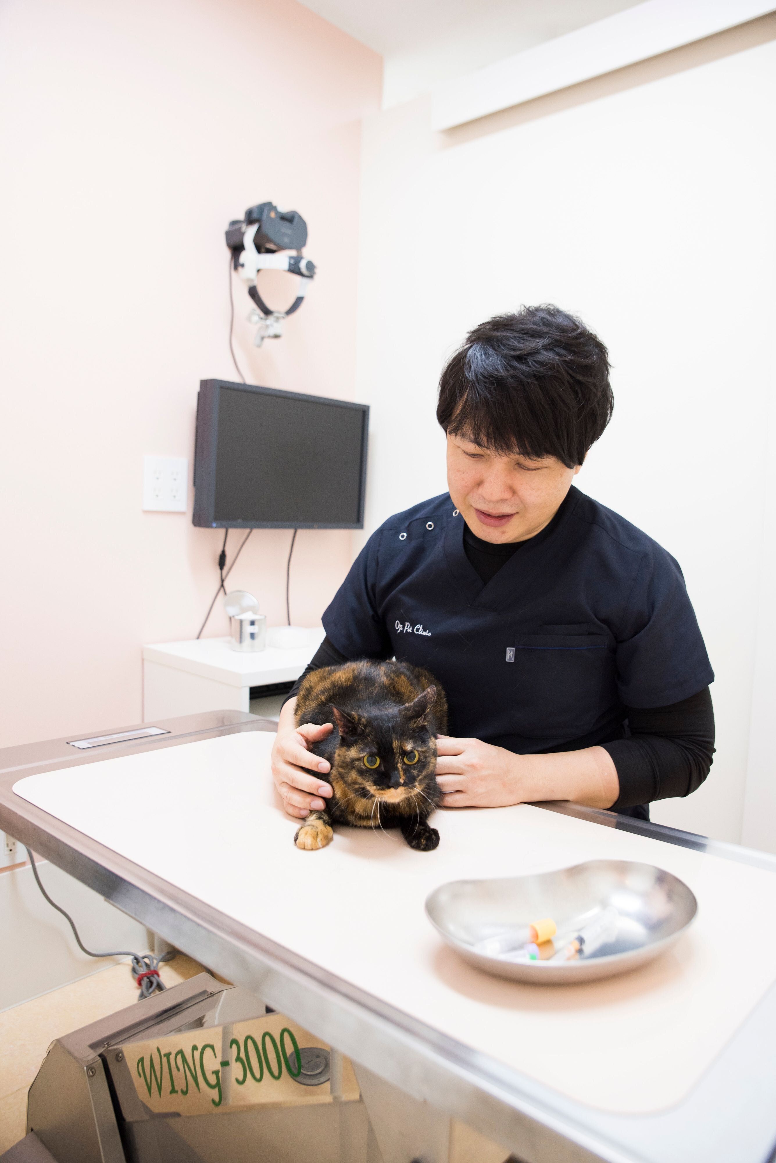 なんとなく受けてる飼い主さんも多い!? 猫の血液検査の基本の「き 