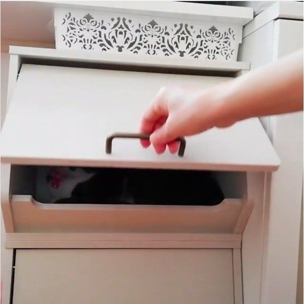 かくれんぼ大好きニャンコ