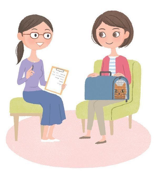 猫の激怒症候群