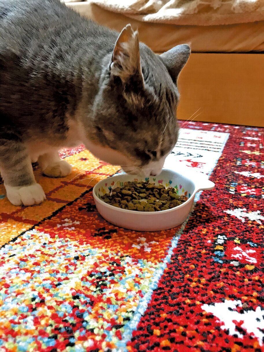 撮影／奥山美奈子