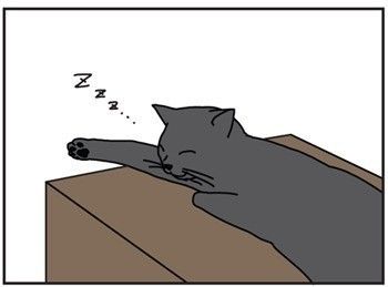 男の猫道　タイトル