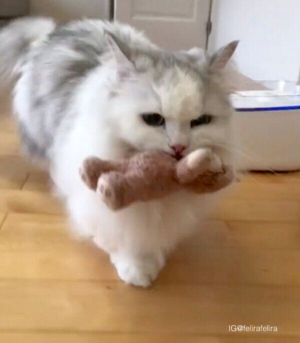 ぬいぐるみを持ってくるるうちゃん