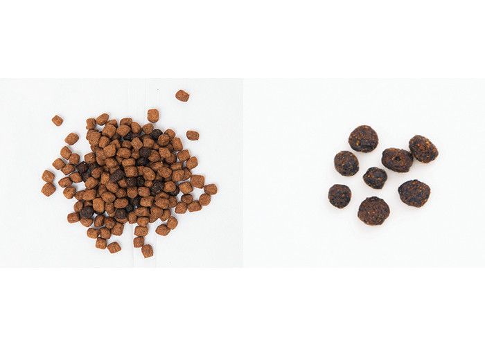 ベースキブル ライフソースビッツ