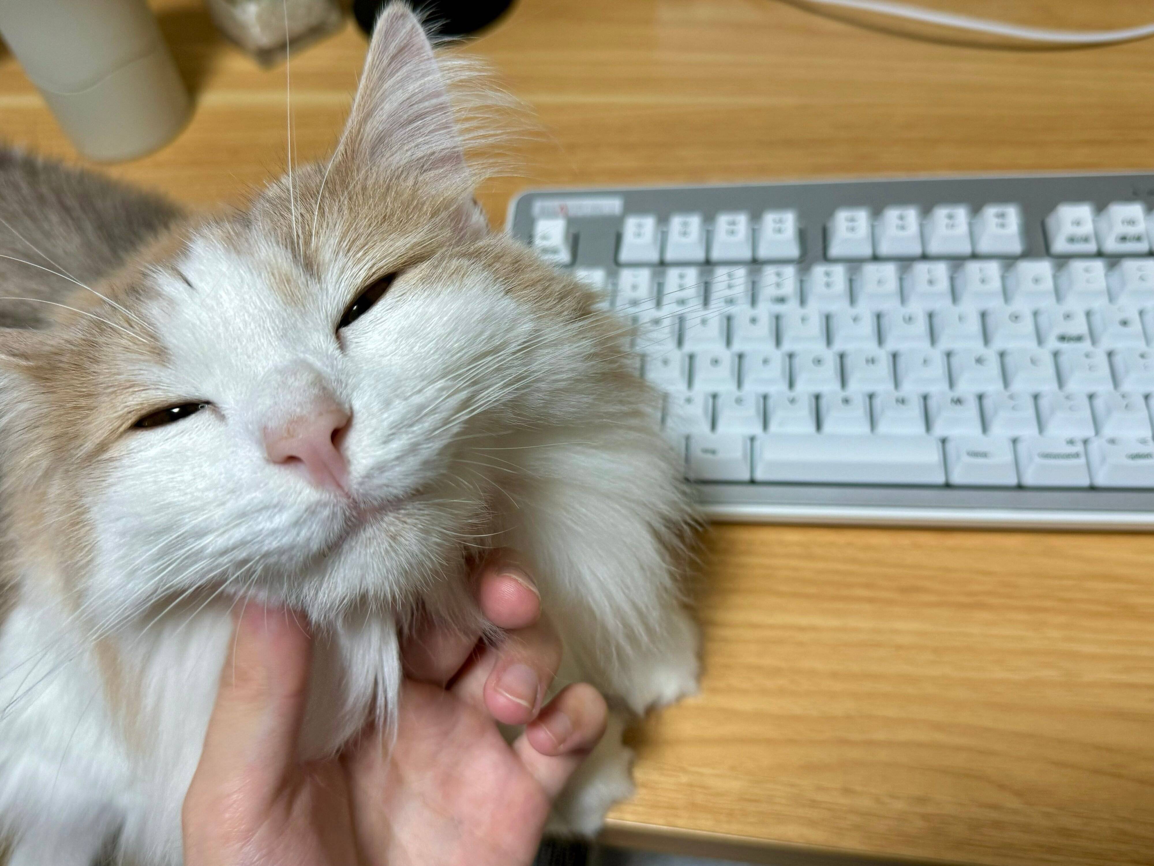 幸せそうなエドくん