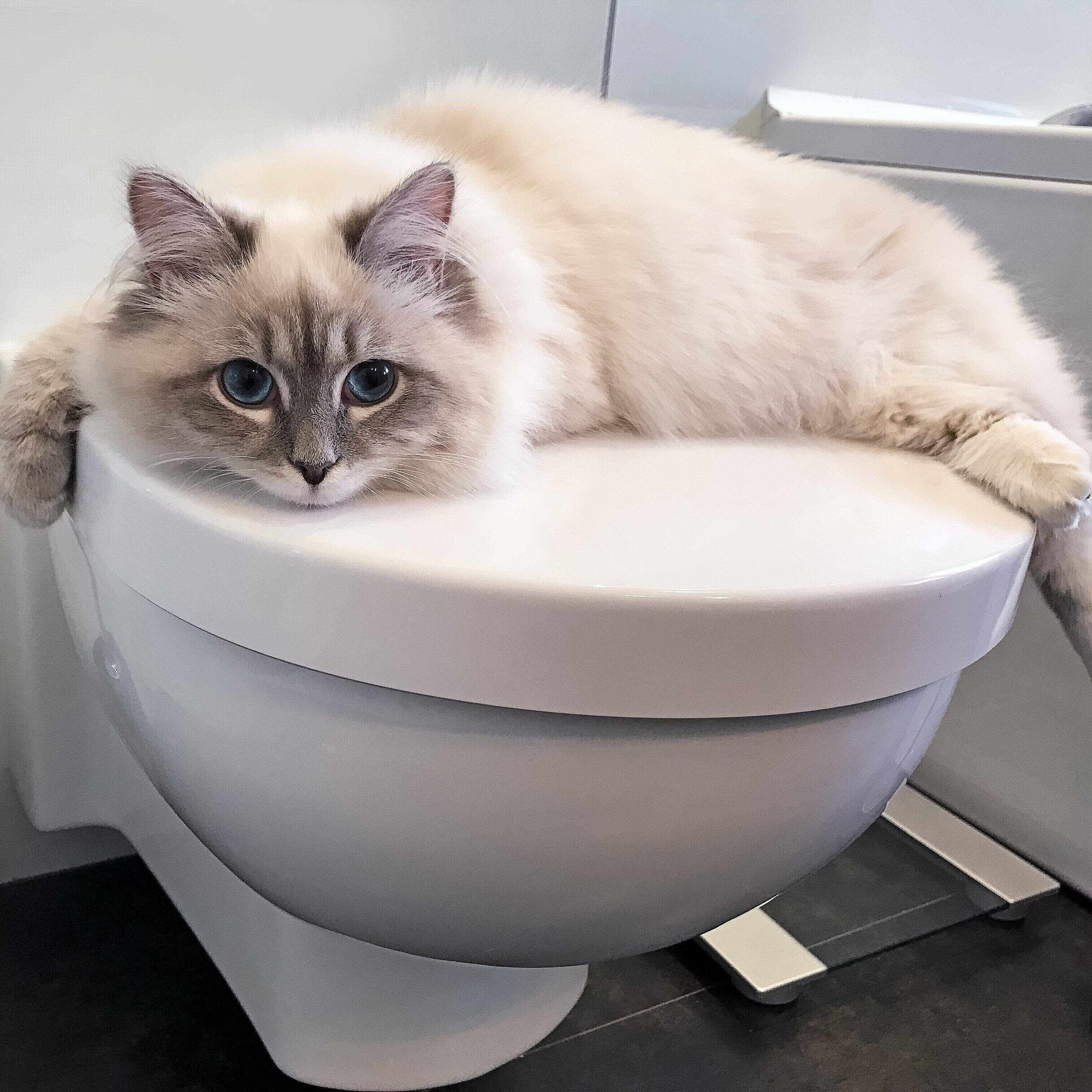 画像／iStock、Getty Images Plus