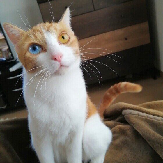 見上げるるいくん（MIX）