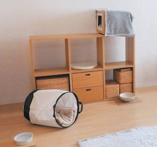 冬に注意したい病気「猫カゼ」とは