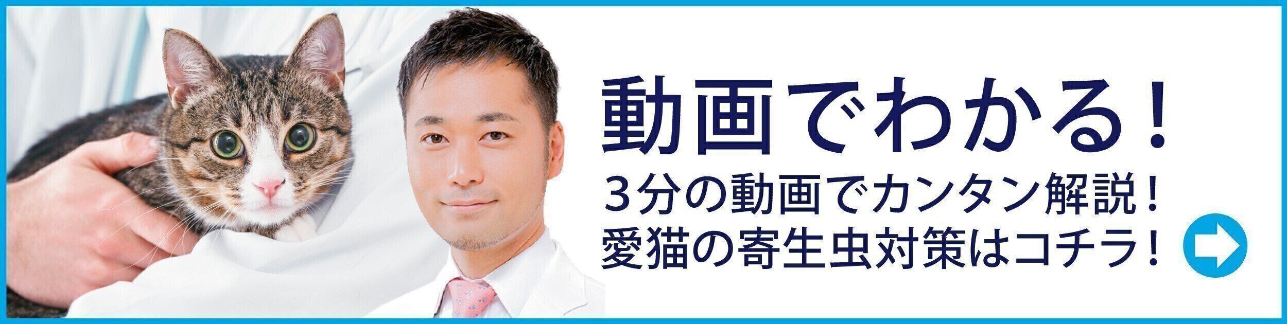 動画でカンタン解説! 愛猫の寄生虫対策はコチラ!