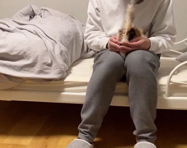 甘えるうなぎちゃん