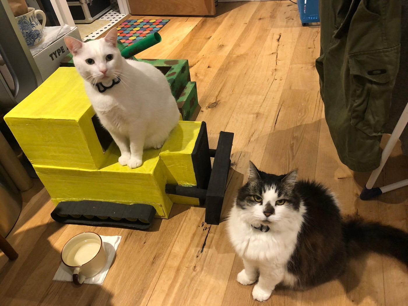 コロナ禍の海外への引っ越し 2匹の猫たちは 1か月後の別便 になるも無事再会 どこへ行くのも必ず一緒 ねこのきもちweb Magazine コロナ禍の海外への引っ越し 2匹の猫たちは 1か月後の別便 になるも無事再会 どこへ行くのも必ず一緒 ねこのきもちweb Magazine