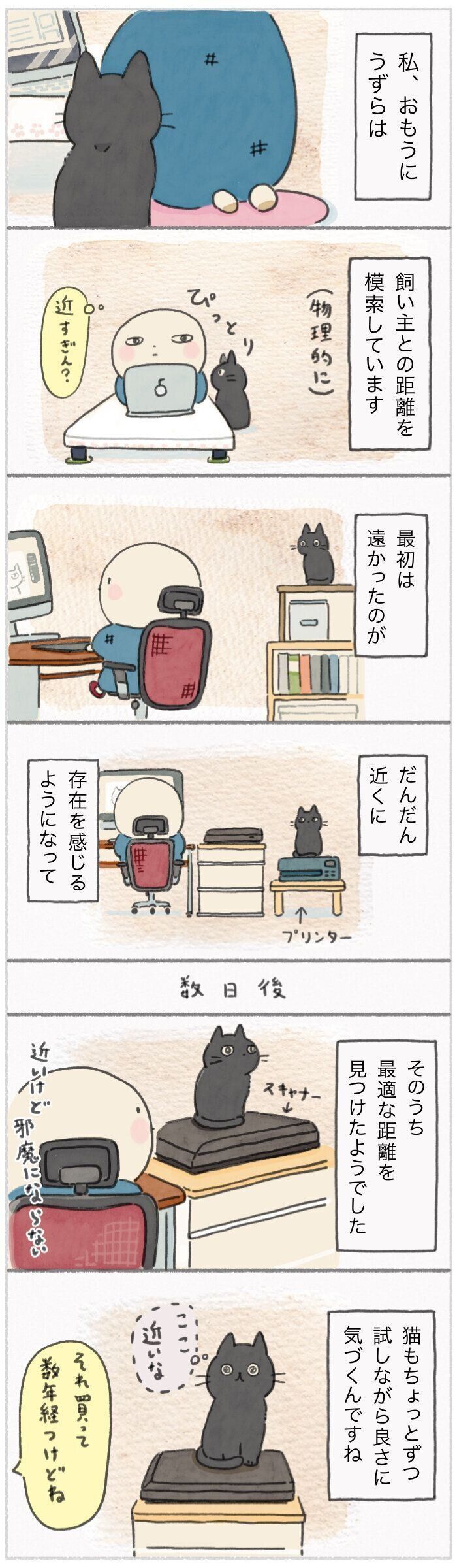 「ねこ連れ草」256話め