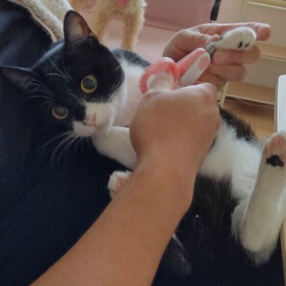 黒×白のもみじちゃん