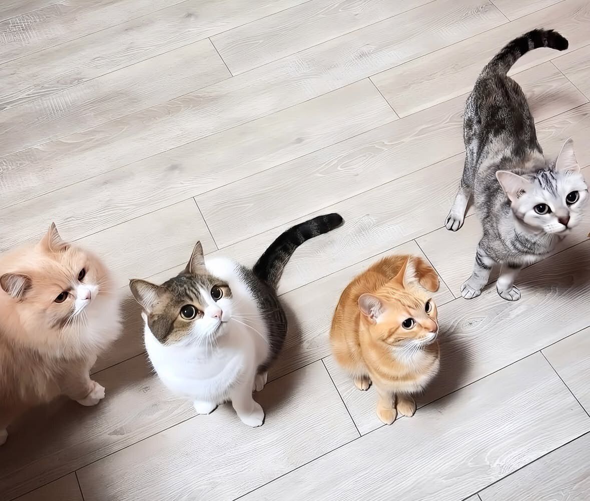 4匹の猫