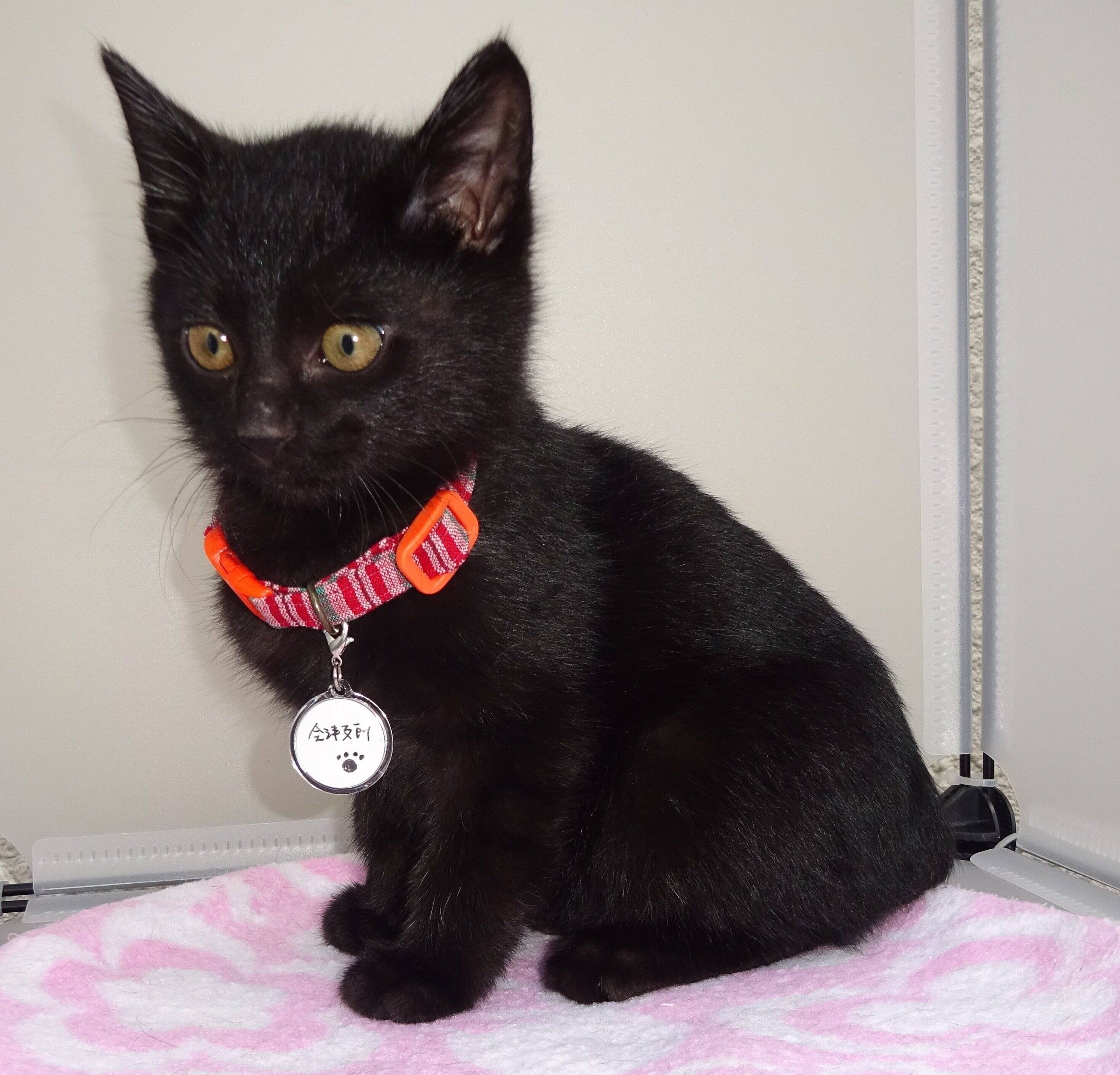 写真提供／ハピまるふくしま