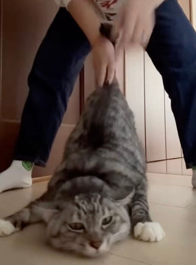 おしりをなでてもらう影丸くん