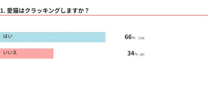 愛猫はクラッキングする？