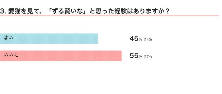 ねこのきもちWEB MAGAZINE　猫の生態・行動に関するアンケートvol.04