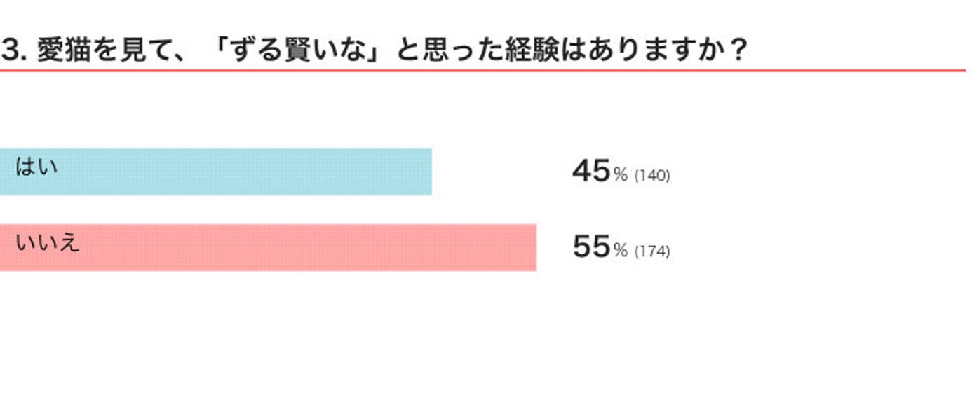調査 もはや さすが としか思えない 飼い主が目撃した愛猫の ずる賢い 一面の数々 ねこのきもちweb Magazine 調査 もはや さすが としか思えない 飼い主が目撃した愛猫の ずる賢い 一面の数々 ねこのきもちweb Magazine