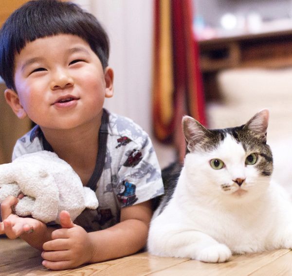 いつも一緒にいたい男の子と猫