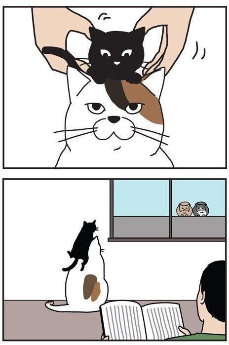 『男の猫道』vol.26