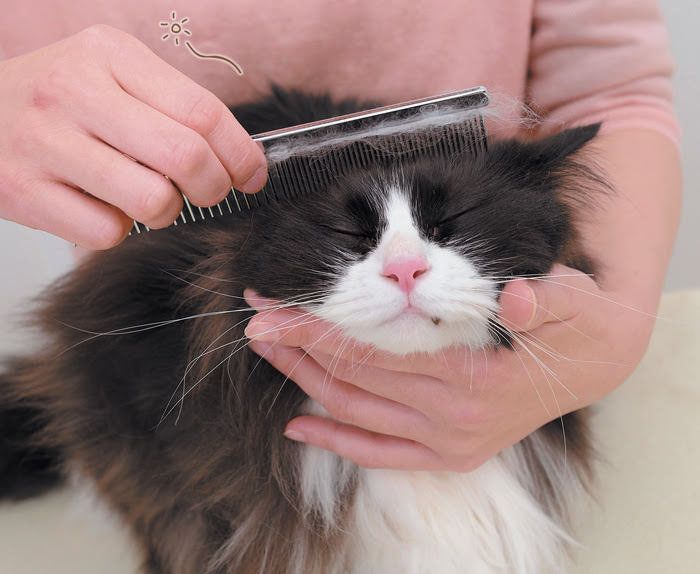 うっとりスポットのマッサージ