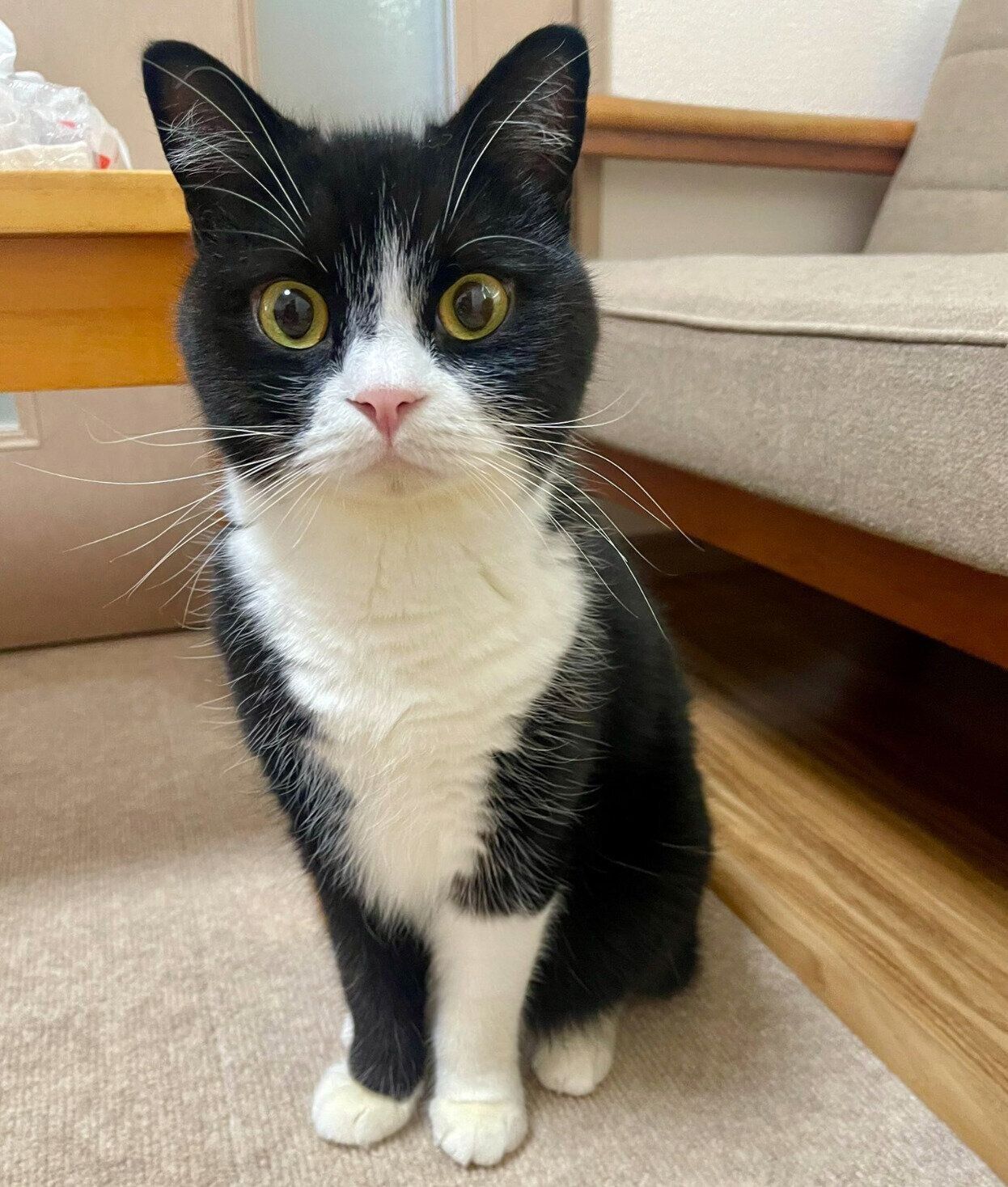 見つめるたろうくん