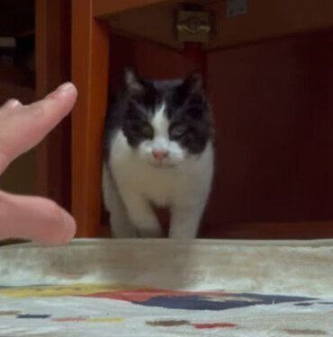 元気な元気くん♡