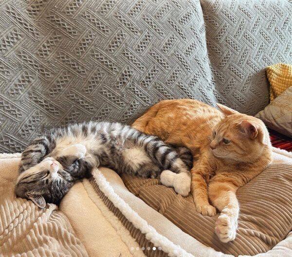 まったりするもいわちゃん、いぶきくん