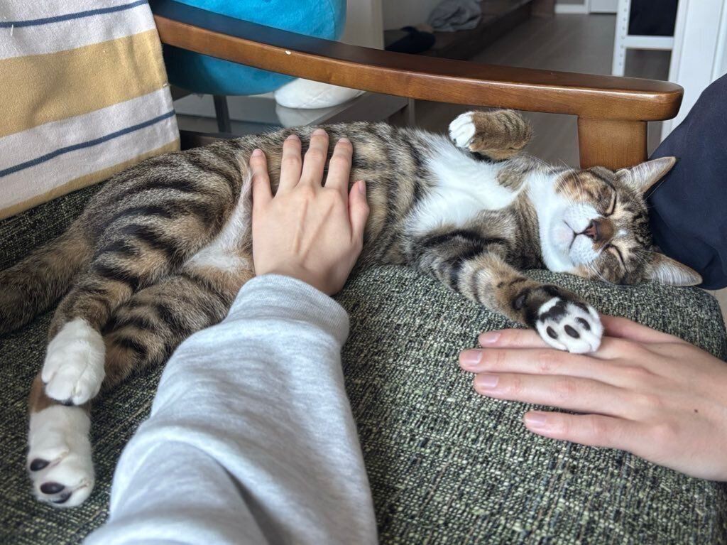 マイペースなのぶながくん