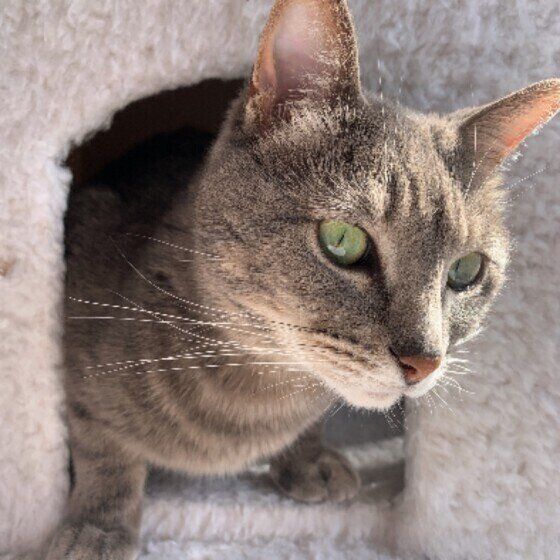 ひなたぼっこをするベリーくん