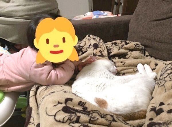 ぐっすり眠るむぎちゃんと、そばに寄り添う娘さん