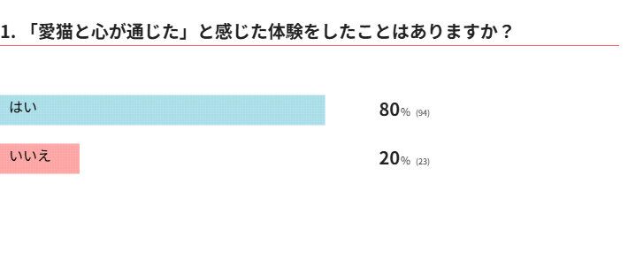 愛猫と心が通じたと感じた経験をしたことはありますか？