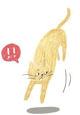 イラスト／mollydomon