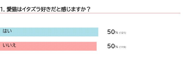 愛猫はイタズラが好きですか？