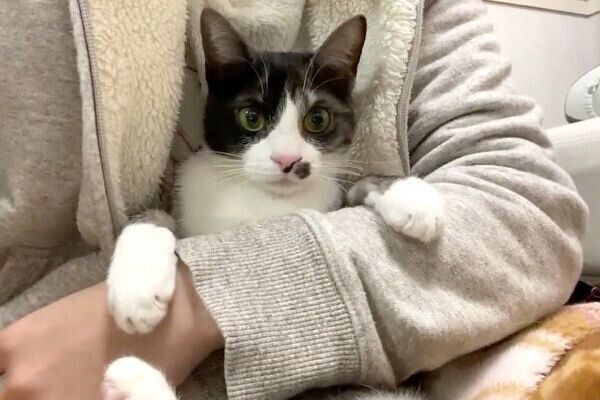 抱っこされるもやしくん