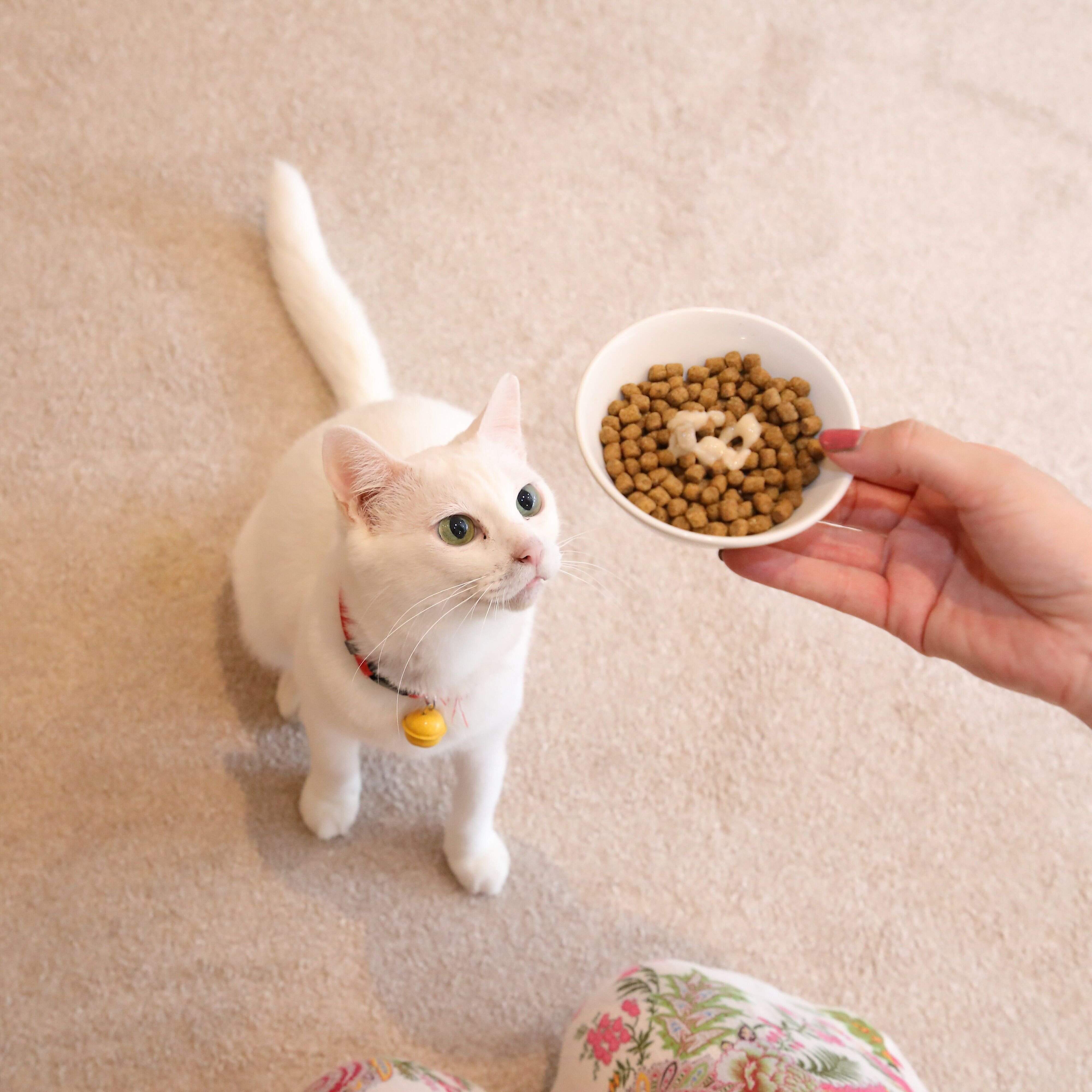 撮影／尾﨑たまき