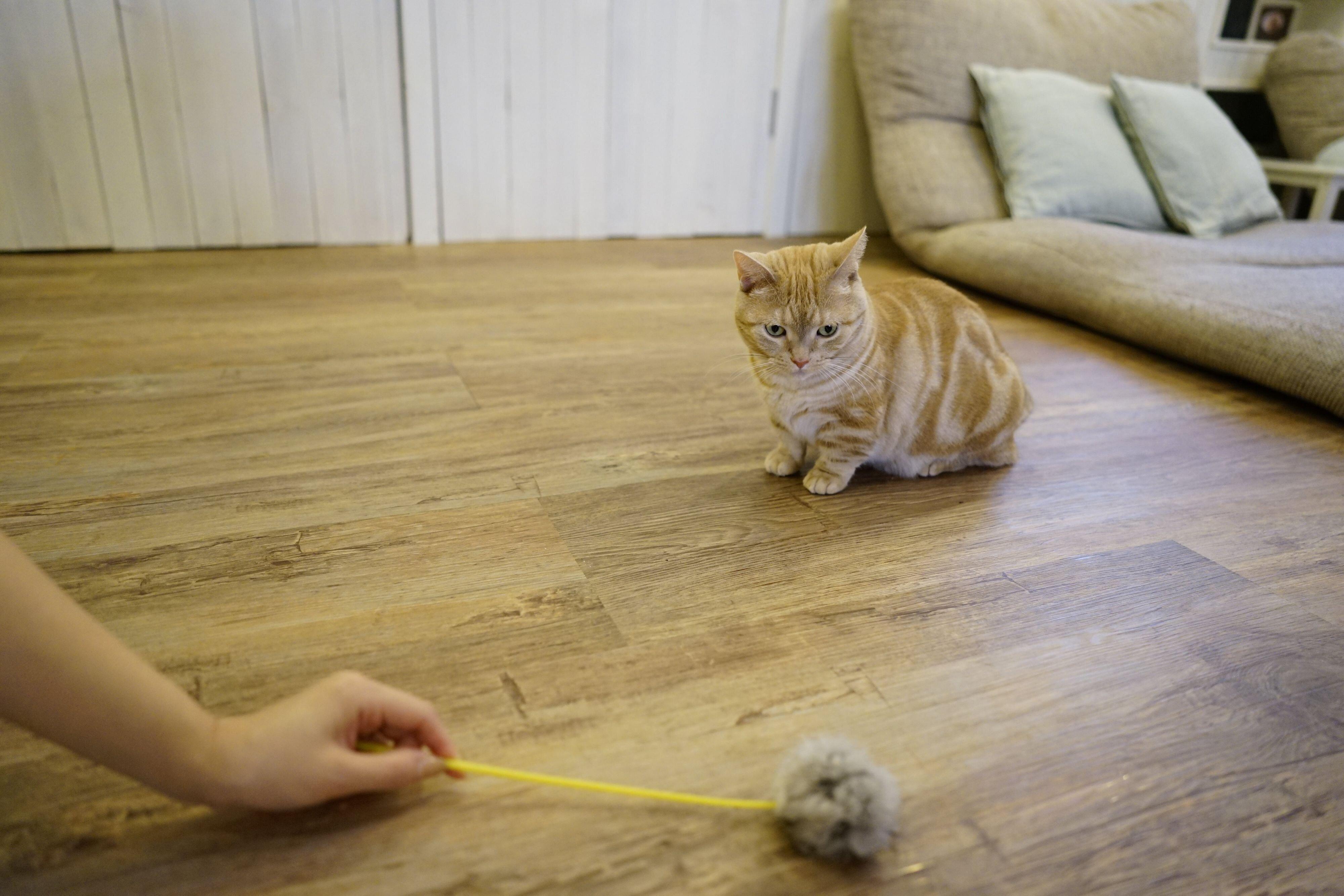 撮影／石原さくら