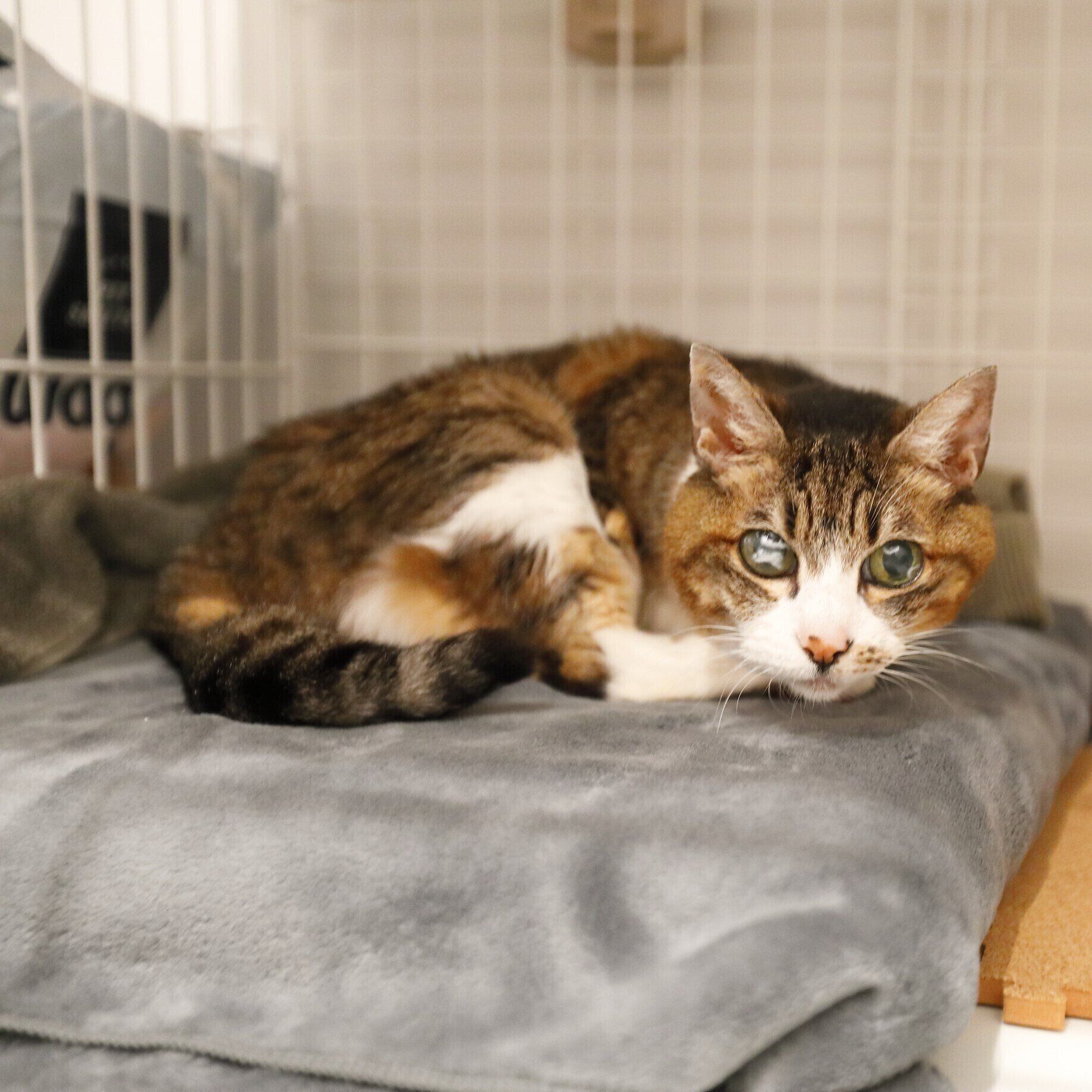 撮影／後藤さくら